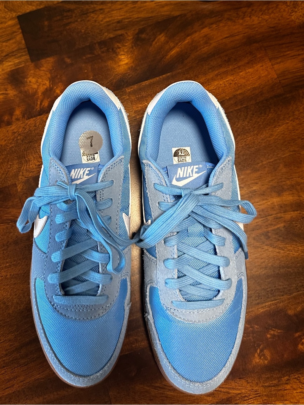 Nike Boy’s/Men’s Sky Blue Low-Top Sneakers